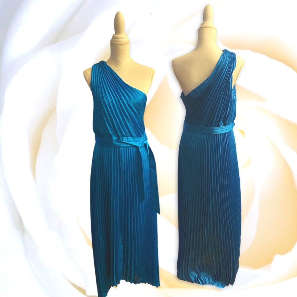 ITERMIX Blue Luisa Pleated Dress size 14 NWT.